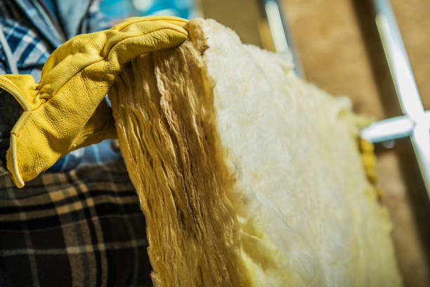 Best Garage Insulation Installation  in Falfurrias, TX